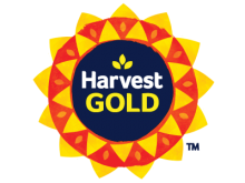 Harvest Gold